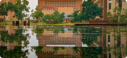 WhatsApp Image 2025-11-28 at 11.19.10 AM 1 (1)